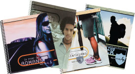 Main Studies